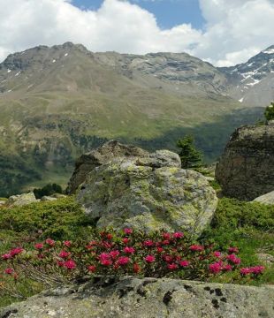 Livigno