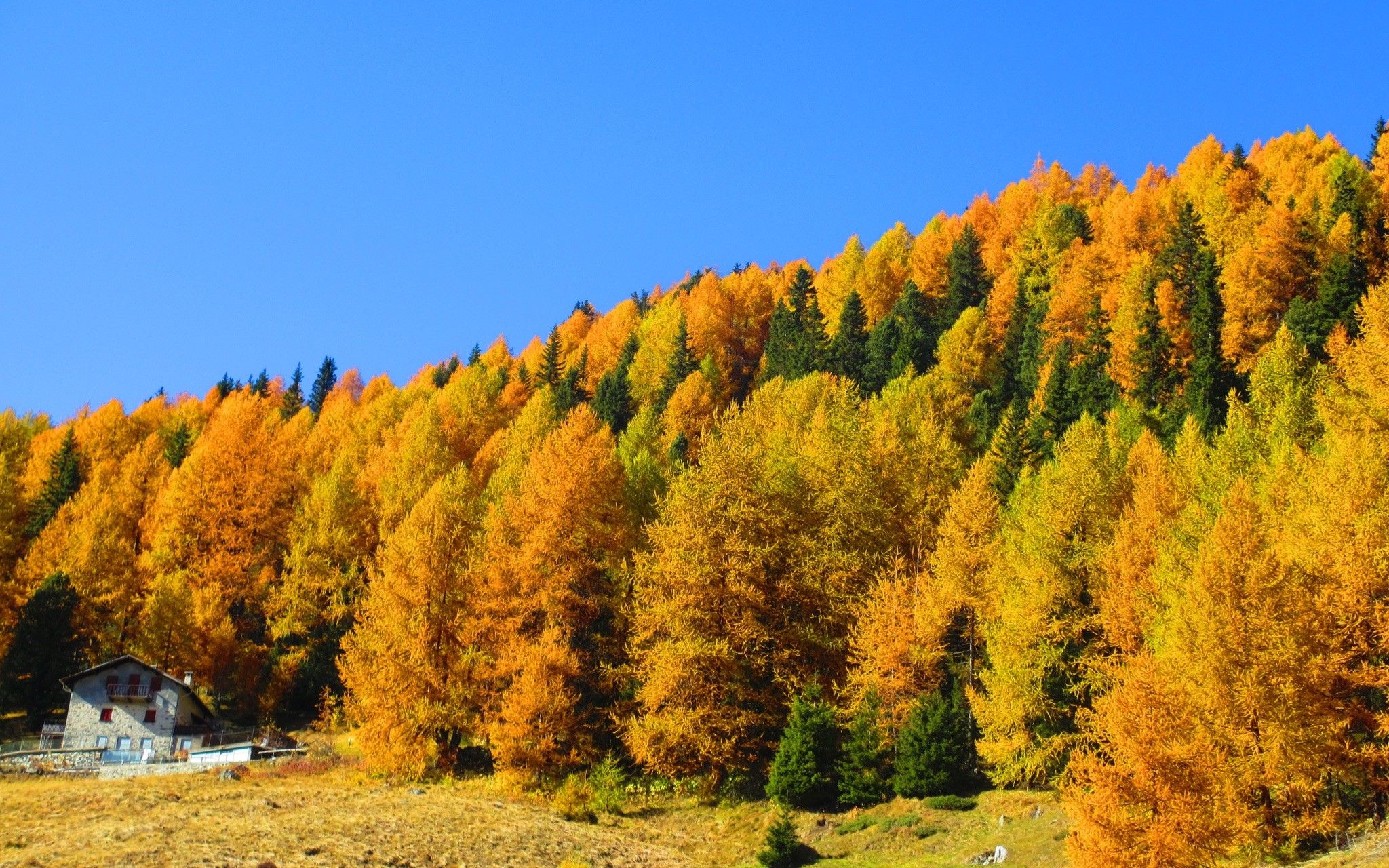 A Due Passi Livigno